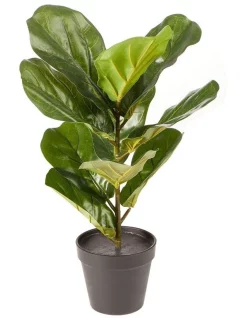 Promo ⭐ Cooper & Co Artificial Fiddle Leaf Faux Plant 50cm In Green 🧨