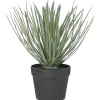 Cheap ⌛ Rogue Spikey Grass-Garden Pot 🛒