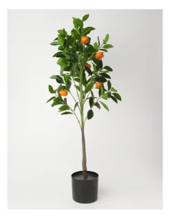 Deals 👍 Heritage Orange Tree 30.48x30.48x106.68cm 👍