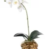 Flash Sale 😀 Vicky Yao Exclusive Design Real Touch Artificial Orchid Arrangement In Lion Head Golden Pot 🧨