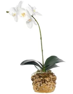 Flash Sale 😀 Vicky Yao Exclusive Design Real Touch Artificial Orchid Arrangement In Lion Head Golden Pot 🧨