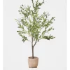 Flash Sale 💯 Heritage Olive Tree In Basket 130x43x43cm In Green 🌟
