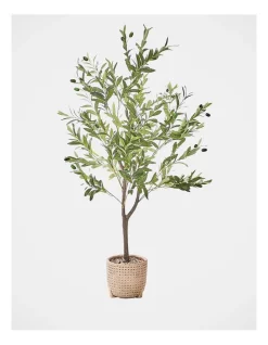 Flash Sale 💯 Heritage Olive Tree In Basket 130x43x43cm In Green 🌟