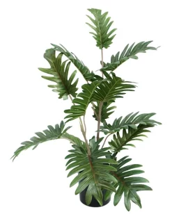 Cheapest 🥰 Florabelle Real Touch Philo In Black Pot 50cm 😉