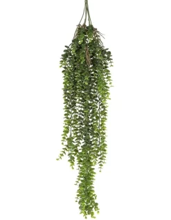 Flash Sale 😉 Florabelle Staghorn Hanging 80cm In Green ❤️