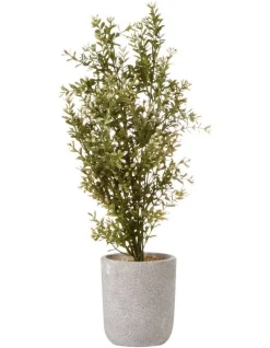 Budget ✔️ Cooper & Co Chinese Perfume Artificial Plant 48cm In Green 🎁