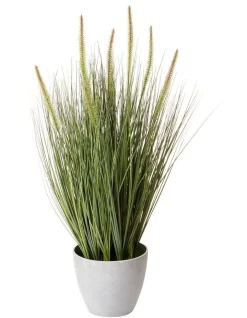 Cheapest ⭐ Cooper & Co Artificial Onion Grass Green Tail 76cm 🛒