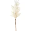 Best reviews of 🥰 Florabelle Wheat Astilbe Flower Stem 75cm In White 🛒