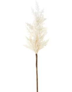 Best reviews of 🥰 Florabelle Wheat Astilbe Flower Stem 75cm In White 🛒