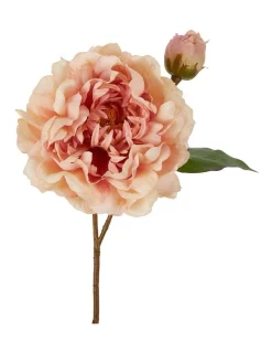 Best Pirce 🎉 Florabelle Peony Stem 61cm In Apricot ❤️