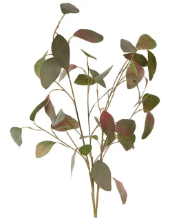 Best Pirce 😍 Florabelle Eucalyptus Spray With 42 Leaves In Green/Pink ❤️