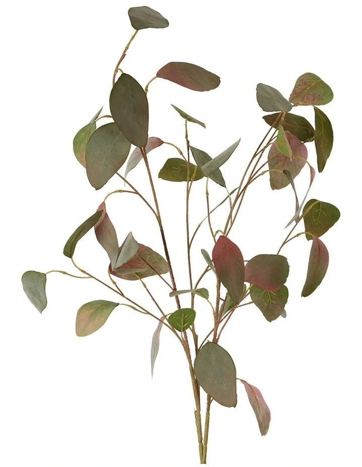 Best Pirce π Florabelle Eucalyptus Spray With 42 Leaves In Green/Pink β€οΈ