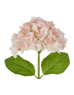 Hot Sale 🛒 Florabelle Hydrangea Stem Soft Touch 50cm In Pink ✨