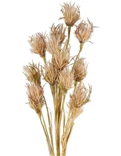 Wholesale π Florabelle Wheat Flower Stem 75cm In Brown π€©