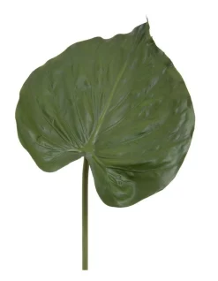 Buy ❤️ Florabelle Alocasia Leaf 90cm In Green 🎁