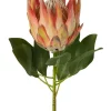 Coupon ❤️ Florabelle Protea King Stem 74cm In Orange 🎉