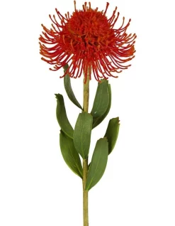 Best Sale ❤️ Florabelle Pincushion Flower Stem 58cm In Red ⌛