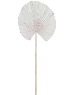 Flash Sale ⌛ Rogue Deco Fan Palm 😀