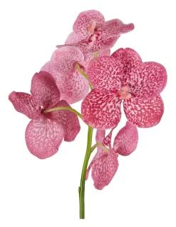 Wholesale 😍 Florabelle Vanda Orchid Stem 66cm In Pink 🔥