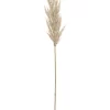 Hot Sale 👏 Rogue Pampas Grass Spray 92cm Artificial Stem Cream 🎁