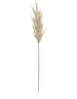 Hot Sale 👏 Rogue Pampas Grass Spray 92cm Artificial Stem Cream 🎁