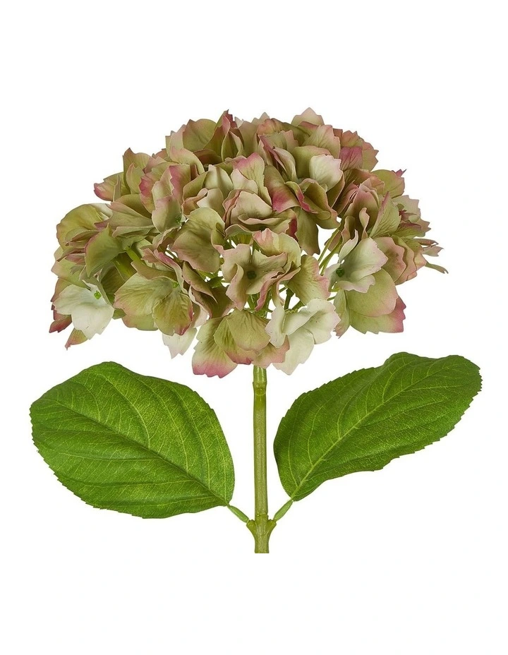 Best deal β¨ Florabelle Hydrangea Stem Soft Touch 50cm In Green π