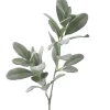 Best reviews of ???? Florabelle Flocked Lamb's Ear Spray 70cm In Green ????