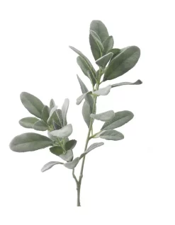 Best reviews of 🎉 Florabelle Flocked Lamb's Ear Spray 70cm In Green 🌟