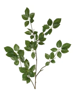 Deals 👏 Florabelle Leaf Scheffelera 30cm In Green ✔️