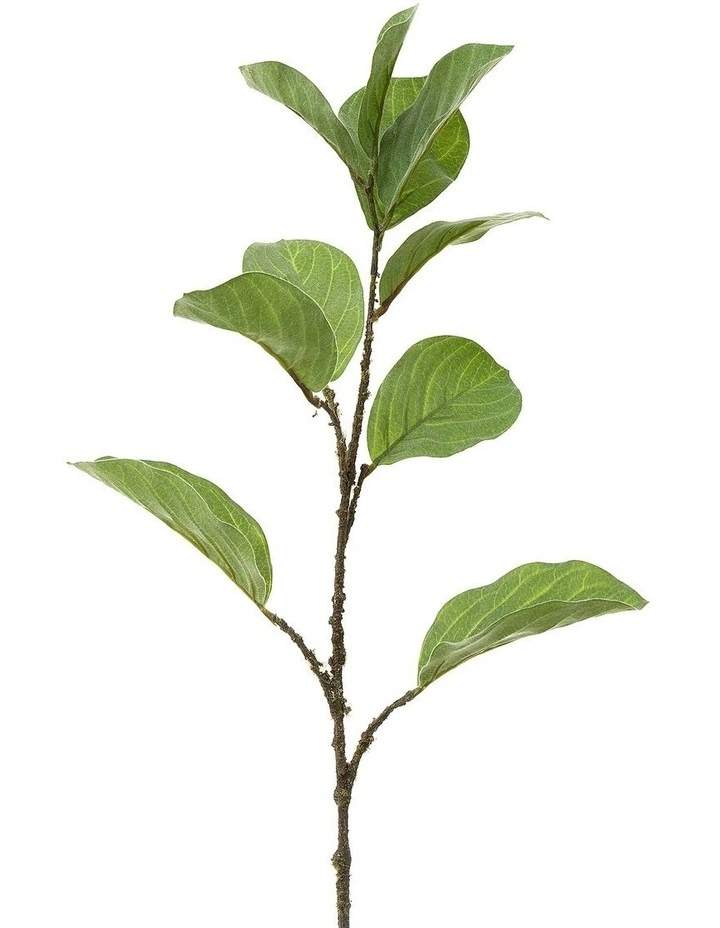 Coupon π Florabelle Leaf Ficus Spray 86cm In Green π