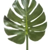 Discount 🧨 Florabelle Split-Leaf Philodendron Monstera 94cm 😉