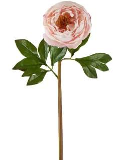 Discount 🌟 Florabelle Large Peony Flower 70cm In White ✨