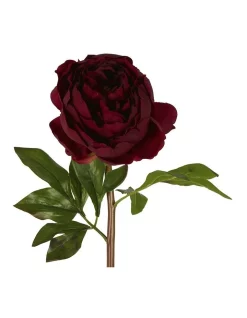 Best Pirce 🥰 Florabelle Peony Flower Real Touch Stem In Dark Plum 🥰