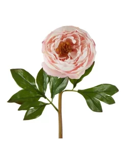 Outlet 💯 Florabelle Peony Flower Real Touch Stem In Pink ✨
