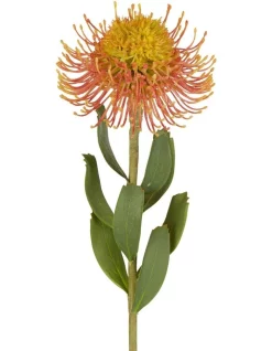Best reviews of 🤩 Florabelle Pincushion Flower Stem 58cm In Orange ✨