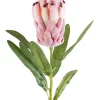 Cheapest 🧨 Florabelle Protea Bud With Leaves 55cm In Dark Pink 😍