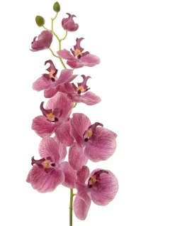 Deals 🛒 Florabelle Orchid Phalaenopsis Spray 74cm In Pink ⭐