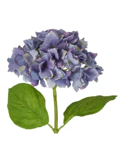 Flash Sale 👏 Florabelle Hydrangea Stem Soft Touch 50cm In Blue ✔️