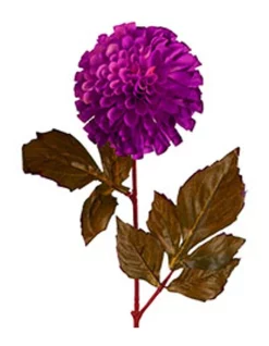Best reviews of 😉 Florabelle Pompom Ball Dahlia Stem 62cm In Burgundy ✨