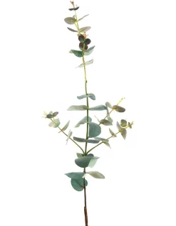 Best Pirce ⌛ Florabelle Eucalyptus Spray 74cm In Dark Green 🧨