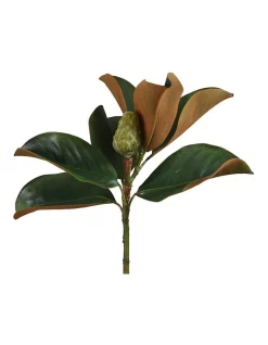Cheapest ❤️ Florabelle Magnolia Bud 60cm In Green 😍