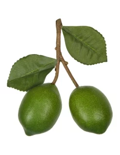 Budget 🔥 Florabelle Lime Branch In Green ⭐