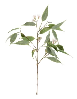 Budget 😍 Florabelle Eucalyptus Flower Spray 92cm In Pink/Green ⭐