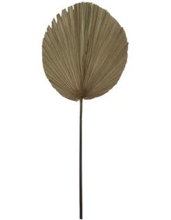 Budget 🌟 Rogue Dried Cut Fan Palm 90cm Artificial Stem Natural 🔔