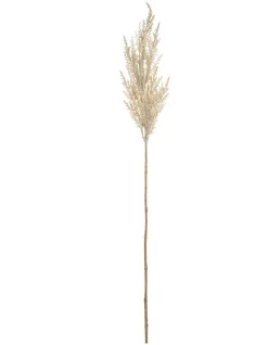 Flash Sale 😍 Rogue Pampas Grass Spray 83cm Artificial Stem Cream 👍