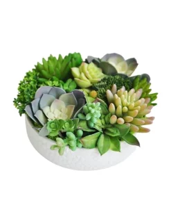 Coupon ๐ฅ Vicky Yao Artificial Succulents Arrangement ๐