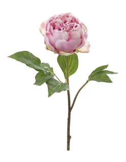 Best Pirce ⌛ Florabelle Peony Spray 60cm In Pink 🌟