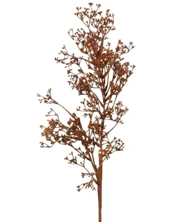 Discount 🎉 Florabelle Dried Look Grass Seed Spray 75cm In Brown 😀