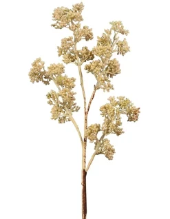 Best Sale 🛒 Florabelle Grass Seed Spray 66cm In Cream 👍