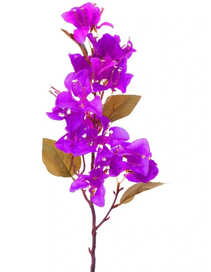 Cheapest π Florabelle Bougainvillea Spray 75cm In Fuchsia π